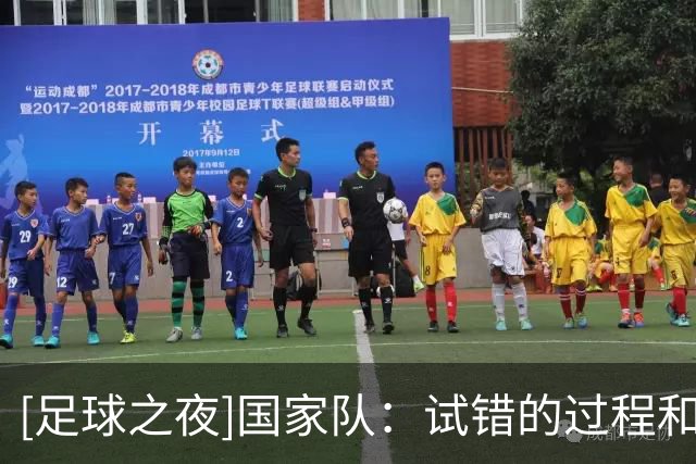 [足球之夜]国家队：试错的过程和代价